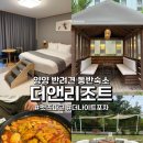 (주)펫앤펫츠 | [양양] 더앤리조트 펫룸 베이직, 애견동반 숙소 내돈내산 후기 (더나이트포차, 펫츠파크)