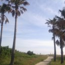 박하제주 이미지