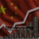 차이나 - 안산시 단원구 화정천서로3길 16 | 차이나