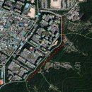 금곡연합의원 이미지