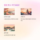 진안홍삼직판장