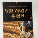 영월현대서비스 | 내돈내산 영월맛집 꽃차죽 영월 감자옹심이