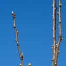 서청주약국 이미지