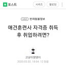 애견훈련사 자격증 이미지