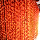 지리산곰실곶감농원 이미지