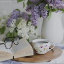 아이럭스안경콘택트 네이버블로그