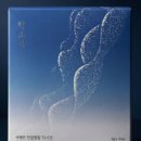 용용건강