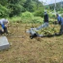 무주장의사 이미지