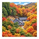 2026.10.18(일) 충남 공주 ▲계룡산 (동학사~자연성능~갑사) 이미지