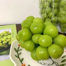 서진농장 | 과일선물세트 서진이네농장 고당도 샤인머스캣택배