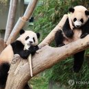 냠냠 - 강릉시 | 냠냠