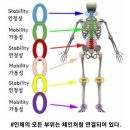 신체균형과 안정성을 증진시키기 위한 지속적인 트레이닝[코어강화] 이미지