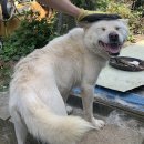 재익농장 이미지