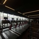 피트니스 갤러리 이미지