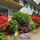 옥류정펜션가든 이미지