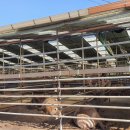 승미농장 이미지