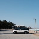 바다와 솔향기 | 강릉 연곡솔향기 캠핑장 바다뷰 명당자리 PV5 차박 후기