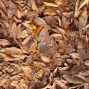 박경리근린공원 이미지