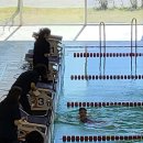 온양동신초등학교 이미지