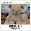 인형병원안나