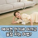꿀잠자리 | 이 여름, 춘향이 왕대자리 숙면 필살기로 밤새 꿀잠!