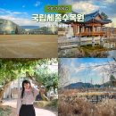 세종식당(한국전통식) | 국립 세종수목원 아이와 세종시 가볼만한곳