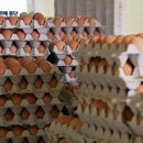 내령농장 이미지