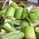 우두로 L 이미지