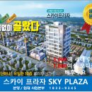 명선약국 Daum카페