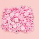 평화4(별자리) 이미지