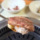 한밭갈비 | 사천 현지인 한우 맛집 허영만 백반기행 한밭갈비 후기