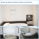 제주젬젬 이미지