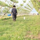 덕호농장 이미지