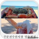 삼성회수산 건너편 | 주문진수산시장포장 맛집 일출횟집, 대게회세트 실제 후기