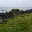 개구리목장 이미지