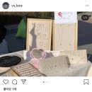 비비루체