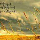 시샘달 이미지