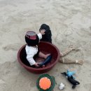 젠타일스 스튜디오