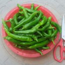 영이용소 이미지