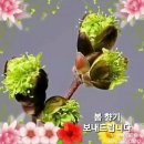 ♡ 화려한 인사 이미지 이미지