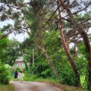 성내안길 이미지