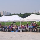 대한민국을 휩쓰는 파크골프 열풍 이미지