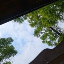 이마트24 순천시민로점 | 걸었음 청년, 여름 순천 2박 3일🌳