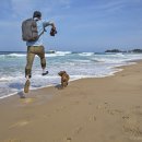 캐비어동물메디컬센터 이미지