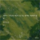 메산이근황 총총52 이미지