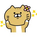 구포동물병원 이미지