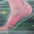 국제상사 이미지