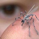 싸이보그 이미지