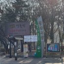 코로나 후유증/만성기침에 좋은 청폐탕 복용 후기 (대구 경희예한의원)