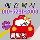 하남펫택시 이미지
